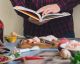 The Best Celebrity Cookbooks