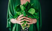 The 14 Healthiest Vegetables in the World