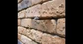 PHOTO: Only 4% of people can FIGURE OUT this brick wall ILLUSION. Can YOU?!