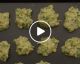 VIDEO: Crispy Zucchini Potato Cakes