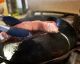 The guide to perfectly flipped foods