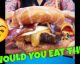The ultimate list of fusion foods from around the world