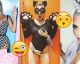 Love or Hate? 2016 Celebrity Halloween Costumes