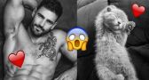 HOT men and CUTE cats: we can't decide who we WANT MORE!!