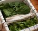 Money-Saving Food Storage Hacks Everyone Should Know