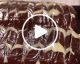 VIDEO: Delicious and easy COOKIE CAKE!