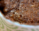 NUTELLA MUG CAKE