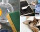 21 Reasons Vinegar Is The Hero You've Been Waiting For