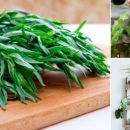 Grow Your Own Spring Herbs Right In The Kitchen, It's Easy!