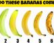 9 Surprising Health Benefits of Bananas