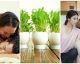 8 amazing plants that can turn you on (or off!)
