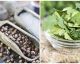 10 secret slimming ingredients to add to your meals