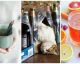 Here's what to drink the day after you've had one too many