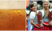 Guilt-free pleasure: 10 non-'light' beers that won't ruin your waistline