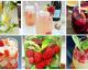 Upgrade your sangria from shabby to chic with these 15 fresh variations