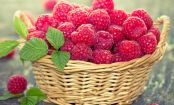 50 Natural Weapons That Fight Belly Fat
