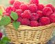 50 Natural Weapons That Fight Belly Fat