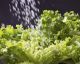 18 food safety hacks everyone should know