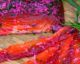 100 Recipes That Will Keep Your Love For Salmon Alive