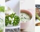 10 beloved condiments that taste better made from scratch