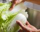 Why You Should Be Eating More Chinese Cabbage