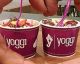 The best fro-yo parlors around the world