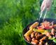 How to Use a BBQ