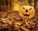10 Awesome Ways to Dress Like Food This Halloween
