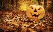 10 Awesome Ways to Dress Like Food This Halloween