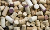 How to know if wine is corked