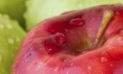 10 foods that will cut your appetite