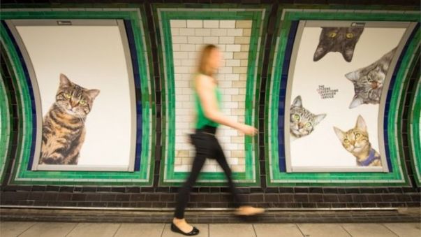THE END OF ADS in the London subway! You'll never guess what they were replaced with...