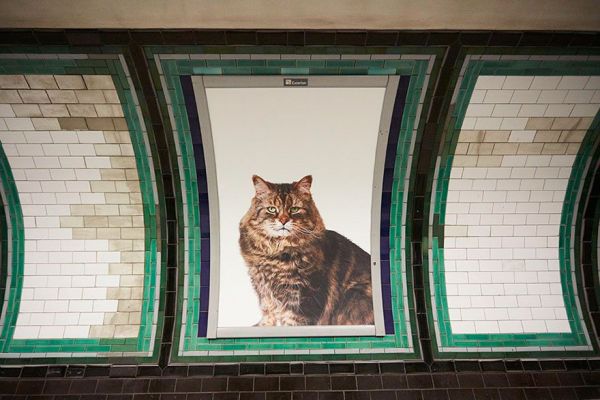 THE END OF ADS in the London subway! You'll never guess what they were replaced with...