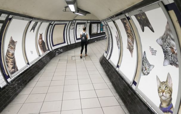 THE END OF ADS in the London subway! You'll never guess what they were replaced with...