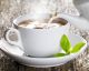 All About Green Tea