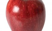 Produce You Should Never Buy At The Super Market: The Dirty Dozen