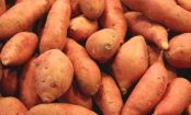 Top 10 Veggies for Babies
