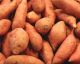 Top 10 Veggies for Babies