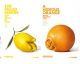 France's Inglorious Food Campaign Brings Dignity to Ugly Produce