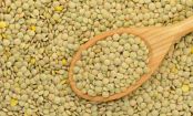 All About Lentils