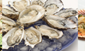 All About Mollusks