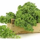 What's the Deal with KALE?