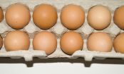 Kitchen HACK: How To Test If Eggs Are Still Good
