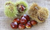 Why You Should Add Chestnuts To Your Diet
