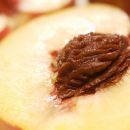 Kitchen HACK: How To Ripen Peaches FAST