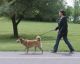 WALK Your Way To Your Weight Loss Goals!