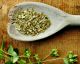 Fight Off Sore Throats And Sinus Infections With Oregano