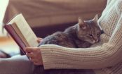 Ever Wondered Why Your Cat Kneads So Much? Here's Why