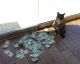 The Cashnip Kitty: This Cat Takes Dollar Bills From People To Give To The Homeless