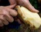 Kitchen HACK: How To Peel A Potato In Seconds